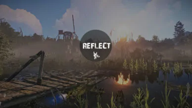 DMA Rust [Reflect]