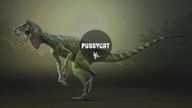 Купить приватный продукт - UP-GAME.PRO