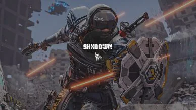 Купить приватный продукт - UP-GAME.PRO